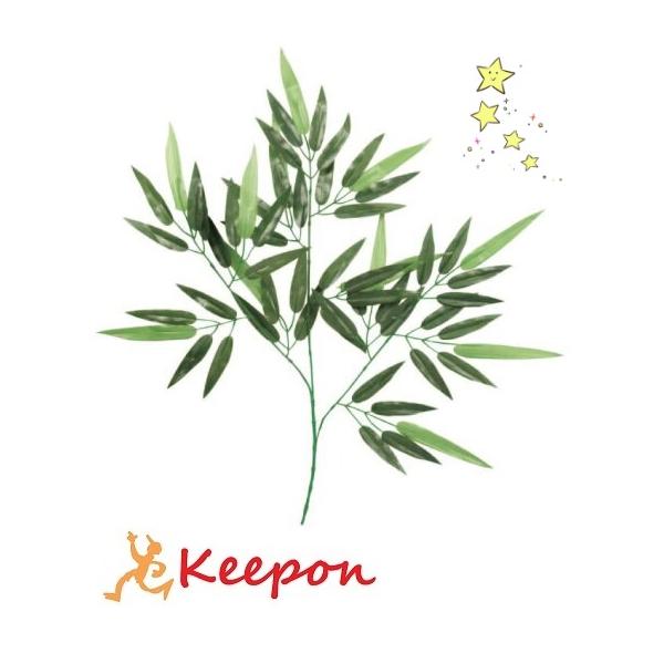 [@ S63cm@Ȃ΂    A[ebN Ղ