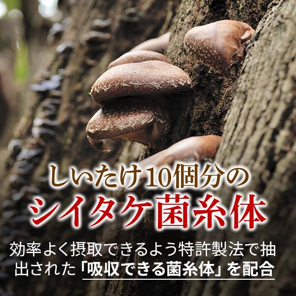 まとめ買い シイタケ菌糸体 ベータグルカン マイタケ 配合 Mdフラクション 国産きのこ６種を使用した サプリ きのこ習慣 5袋セット 775粒 約5か月分 送料無料 Buyee Buyee Japanese Proxy Service Buy From Japan Bot Online