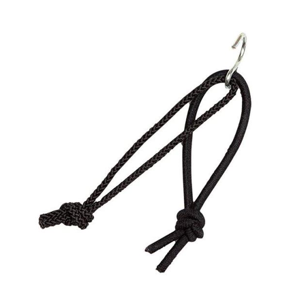 OSTRICH I[Xgb` `F[nK[