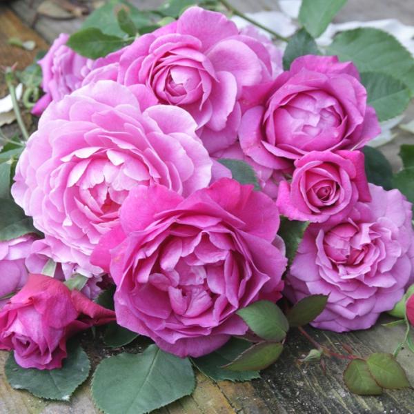 o [ tBlX ] Hc c sN lG (H.T) ㉀| F&amp;G[Y [YA}eB[N oc KN (2508)