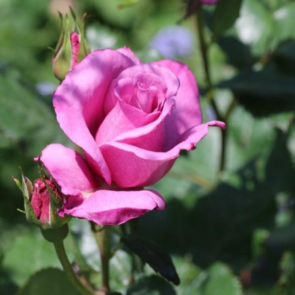 o [ VbLO u[iFLj ] tc (Vc) lG |s[[Y oc KN (2508h)