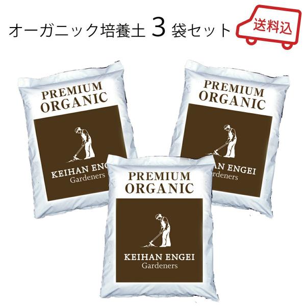 |{y u㉀|IWi 100VRR I[KjbN |{y 14L R܃Zbgv 