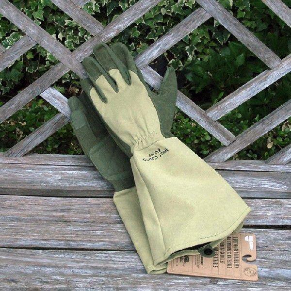 K[fO[u EFXgJEeB[ [Y  Ɨp |