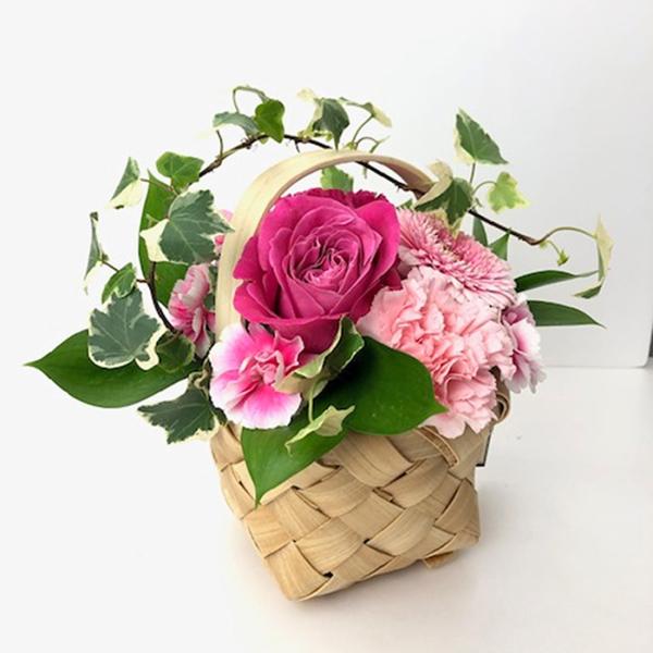 AWg sNn t[Mtg  a j } ̓@v[g