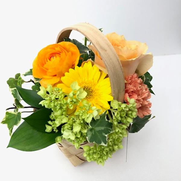 AWg CG[IWn t[Mtg  a j } ̓@v[g@F