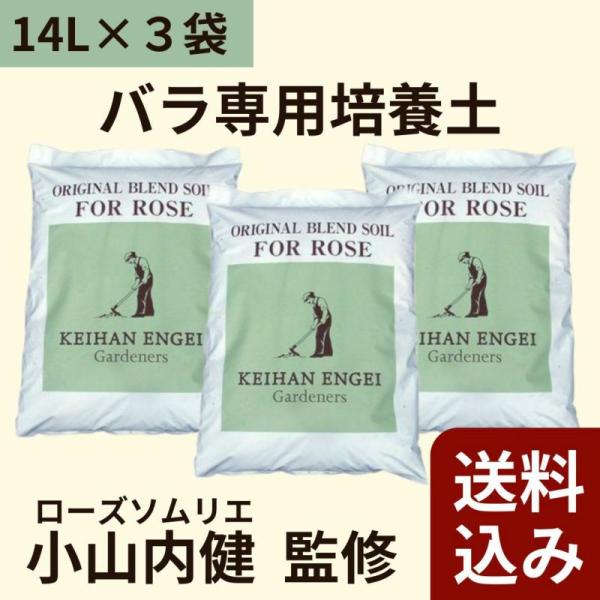 大好評のバラ専用培養土を、3個セットで販売します。送料込み価格なので、通常価格よりもちょっぴりお得です♪【商品説明】厳選された有機質原料を配合することにより、バラに必要な通気・排水・保水・保肥・活性力などの微妙なバランスを考慮して開発された...