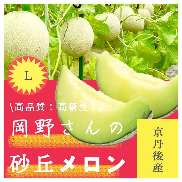 メロン 静岡アールスメロン 2玉｜郵便局のネットショップ