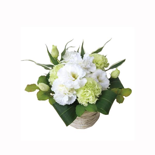  ԃAWgC    蕨 @   l\ @v    ԃAWg  䋟  ~