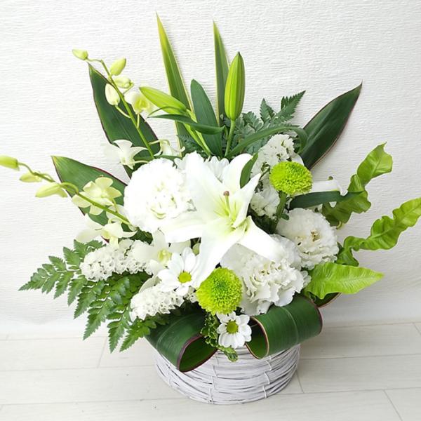 䋟AW ԃAWg@@䋟 ~ ~ t[AWg@