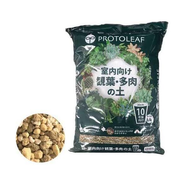 ϗtE̓y@ 10@8.4L @vg[t |{y