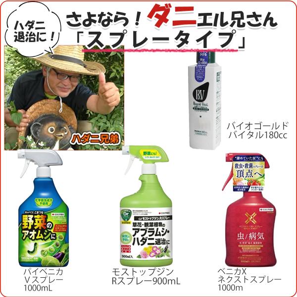 バラのダニ対策 4点セット さよならダニエル兄さん スプレータイプ パイベニカvスプレー モストップジンr ベニカxネクスト バイオゴールドバイタル 京阪園芸 Paypayモール店 通販 Paypayモール