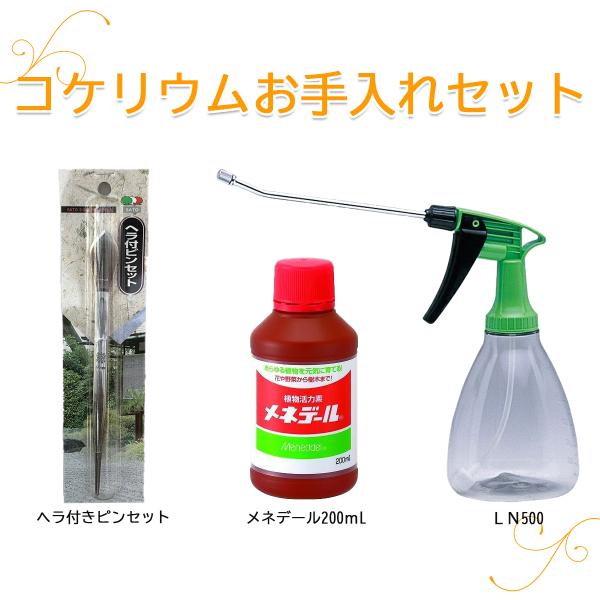 コケリウムお手入れセット ロングノズ ル霧吹きヘラ付きピンセット メネデール 苔テラリウム テラリウム 京阪園芸 Paypayモール店 通販 Paypayモール