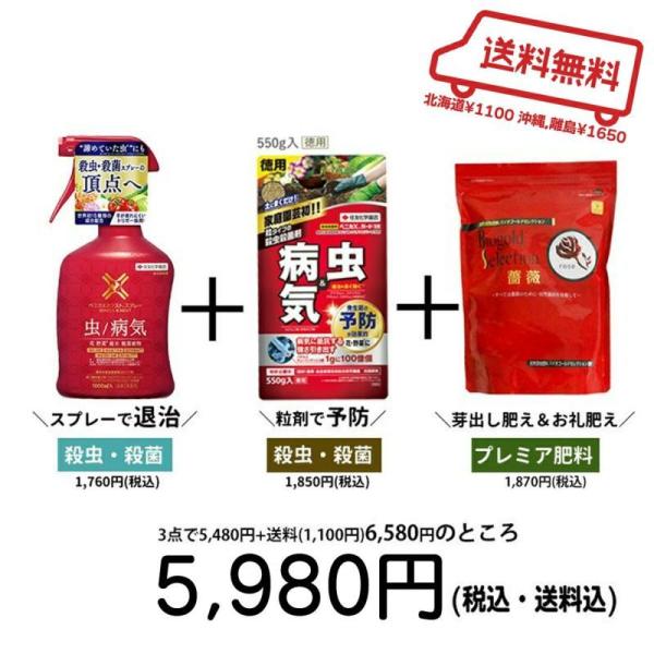 ベニカXガード粒剤の人気商品・通販・価格比較 - 価格.com ベニカXガード粒剤の人気商品・通販・価格比較 - 価格.com