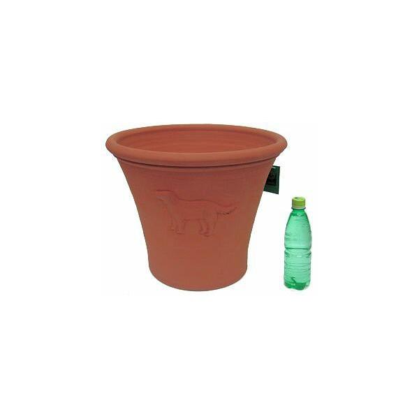 未使用 テラコッタ鉢 イギリス製 チューダーローズ Tudor Rose W 植物/観葉植物 オンライン販売