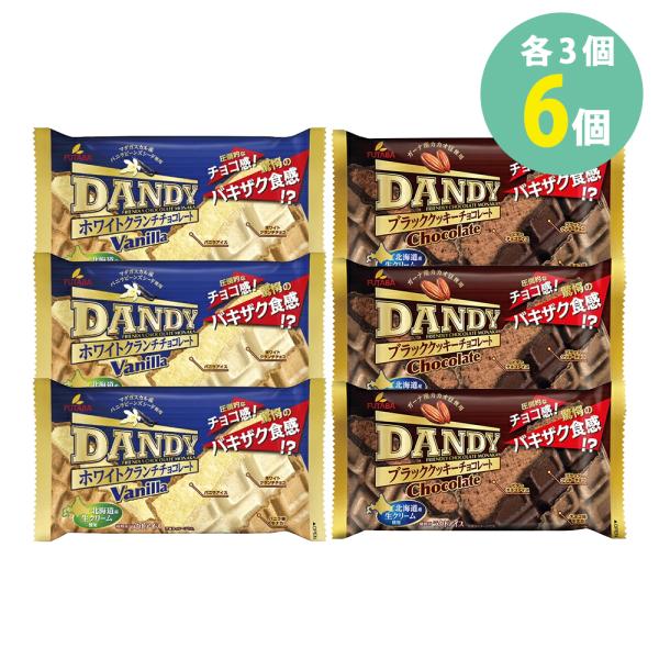 学校給食食材問屋 ダンディーチョコレート バニラ アイス セット 各3個