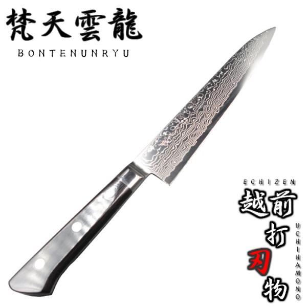 梵天雲龍 黒強化木柄 洋出刃 240mm