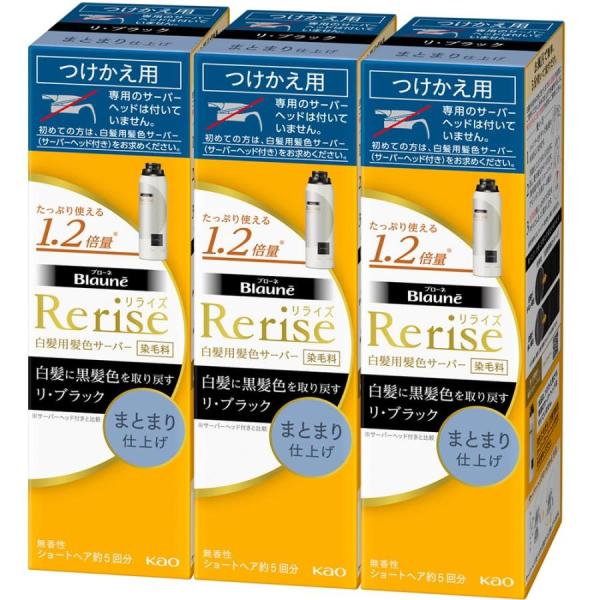 新品・未開封品　リライズ　白髪用髪色サーバー　ふんわり仕上げ　送料無料　4セット リライズ 白髪用髪色サーバー グレーアレンジ ふんわり仕上げ