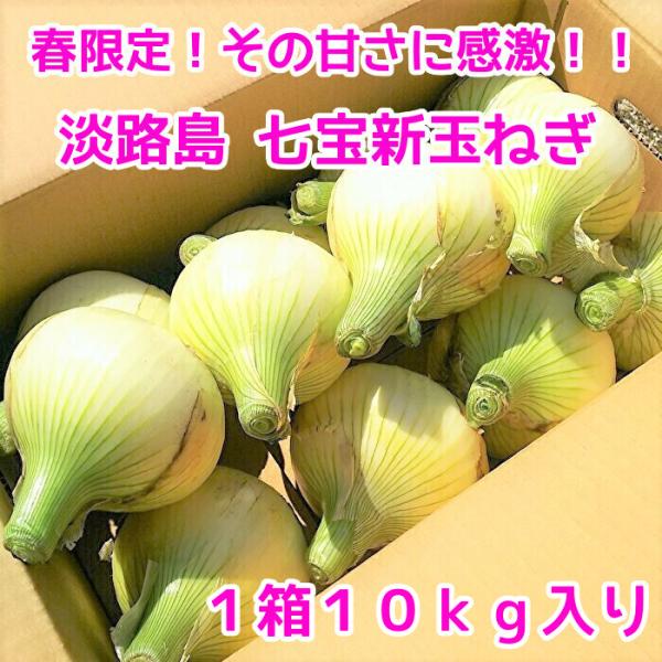 送料無料】淡路島新玉ねぎ 10kg(早生・七宝) けいのしま 送料無料】淡路島新玉ねぎ 10kg(早生・七宝) けいのしま
