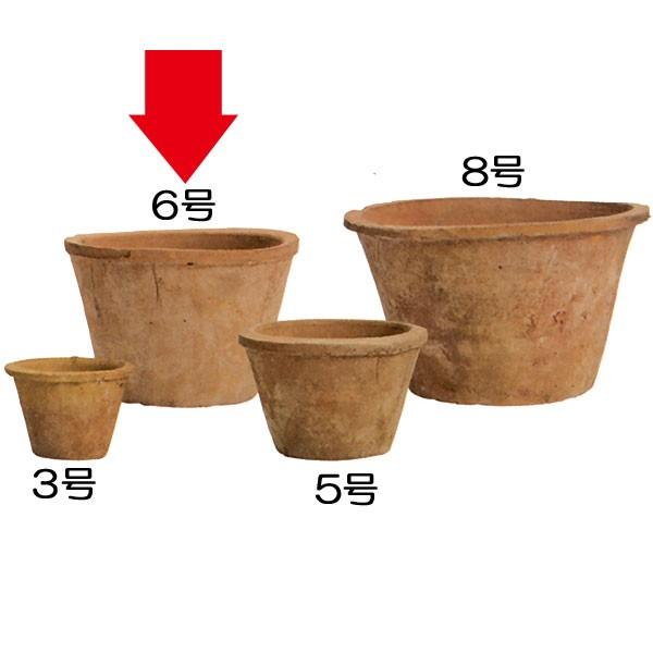 Aؔ  v^[ lC ϗtA |bg  ϗt 픫 CeA |pi 񂹐A   AeB[N K[fi[|bg 6 3Zbg