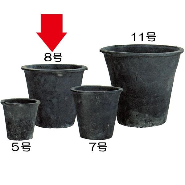 Aؔ  v^[ lC ϗtA |bg  ϗt 픫 CeA |pi 񂹐A Ԓd   AeB[N K[fi[|bg 8