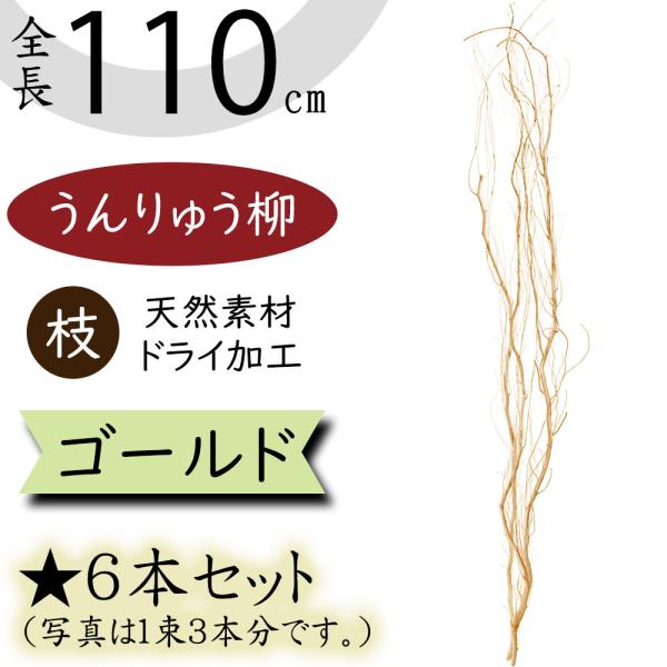 雲竜柳　完全　ドライ　５０本　１４０～１６０cm　おしゃれ　頼める便です マイフラ】 通販/雲竜柳 N皮付 ドライフラワー 枝もの DT069045