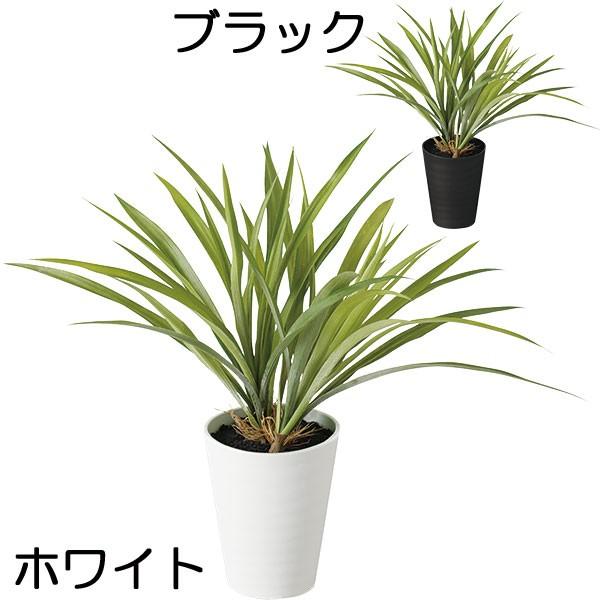 オリヅルラン 全高40cm 人工観葉植物 オリズルラン 人工樹木 造花 フェイクグリーン インテリアグリーン tk 人工観葉植物と造花の通販ケイシン 通販 Yahoo ショッピング