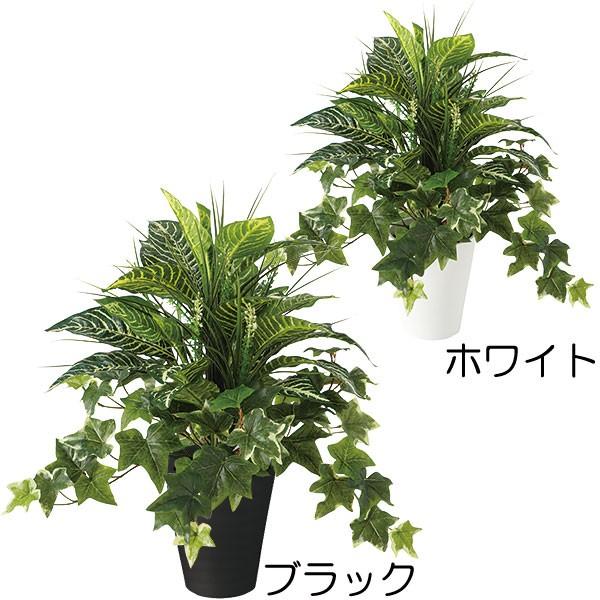 アレンジ 人工観葉植物 全高50cm アイビー ゼブラ ミックス 人工樹木 造花 フェイクグリーン インテリアグリーン tk 人工観葉植物と造花の通販ケイシン 通販 Yahoo ショッピング