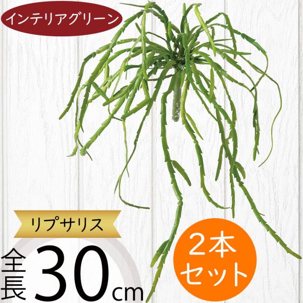 インテリアグリーン おしゃれ 多肉植物 リプサリス 観葉植物 造花
