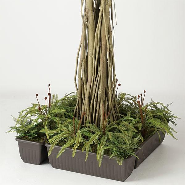 人工観葉植物 ソードファーン ブッシュ 全長35cm シダ類 ファン タマシダ ボストンファーン 造花 リーフ フェイクグリーン Buyee Buyee 日本の通販商品 オークションの代理入札 代理購入