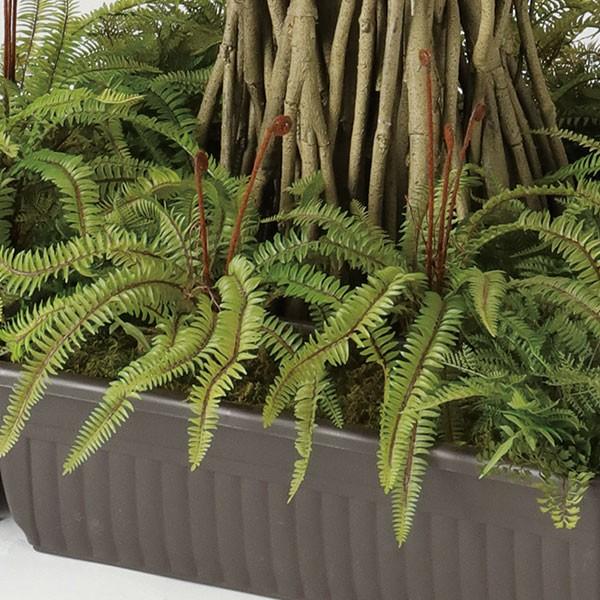 人工観葉植物 ソードファーン ブッシュ 全長35cm シダ類 ファン タマシダ ボストンファーン 造花 リーフ フェイクグリーン Buyee Buyee 日本の通販商品 オークションの代理入札 代理購入