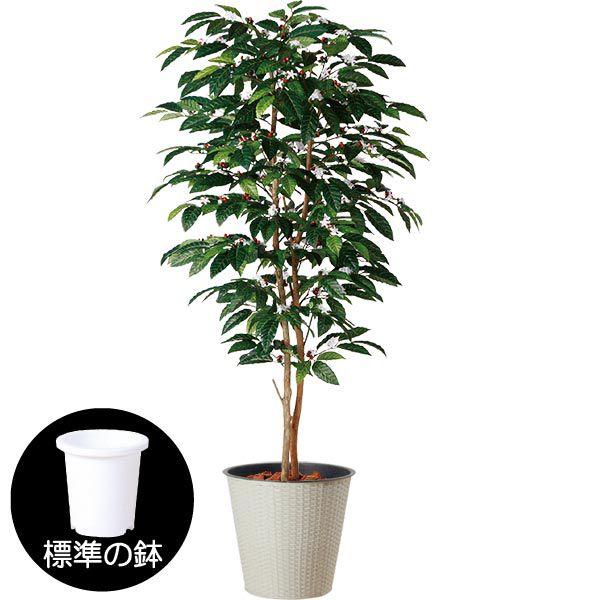 観葉植物 おしゃれ インテリアグリーン コーヒーの木 造花 1.5m