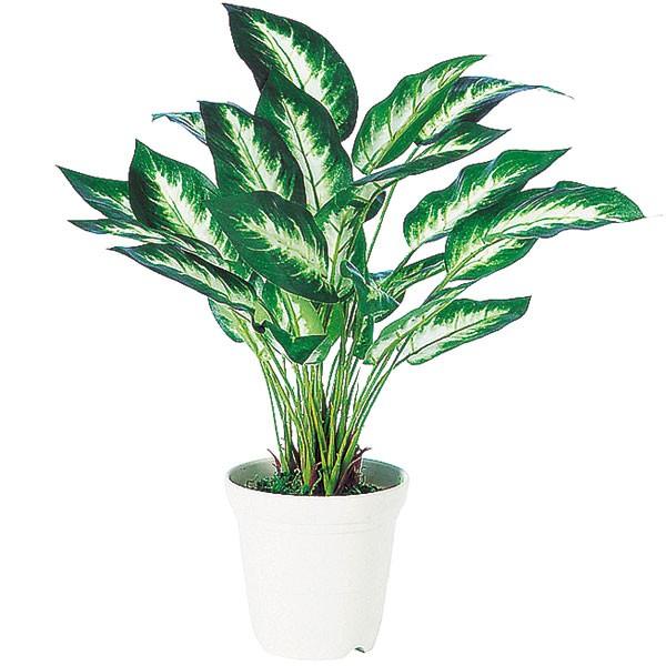 ディフェンバキア 人工観葉植物 全高40cm ホワイト鉢 カミーラ 人工樹木 造花 インテリアグリーン フェイクグリーン tk 人工観葉 植物と造花の通販ケイシン 通販 Yahoo ショッピング