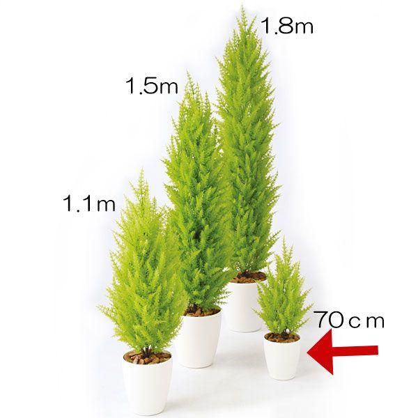 ゴールドクレスト 人工観葉植物 全高70cm ライトグリーン コニファー 針葉樹 人工樹木 造花 フェイクグリーン インテリアグリーン 941tk 人工観葉植物と造花の通販ケイシン 通販 Yahoo ショッピング