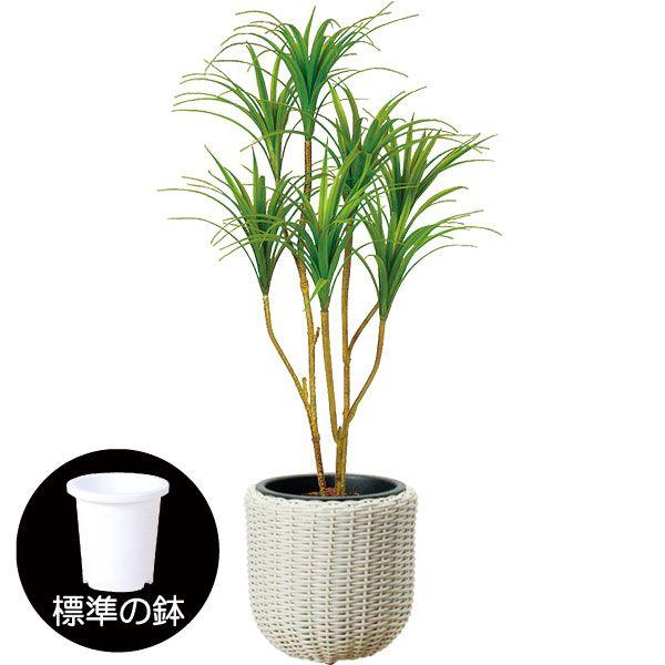 観葉植物 ドラセナコンシンネ 造花 アーティフィシャルフラワーの人気商品 通販 価格比較 価格 Com
