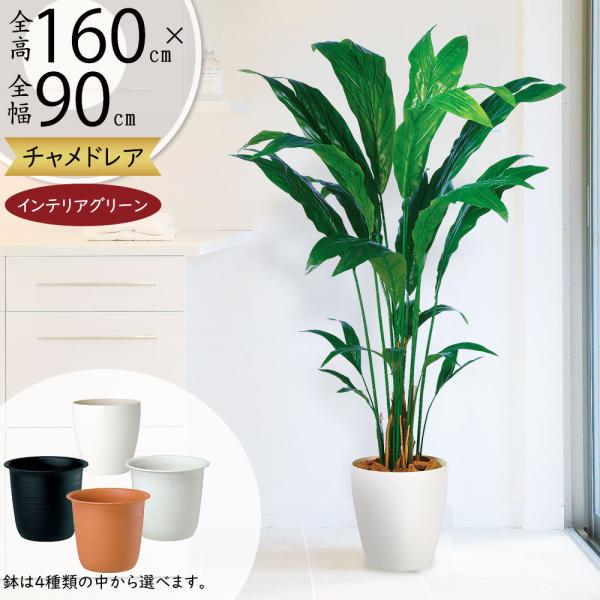 観葉植物 テーブルヤシ 造花 アーティフィシャルフラワーの人気商品 通販 価格比較 価格 Com