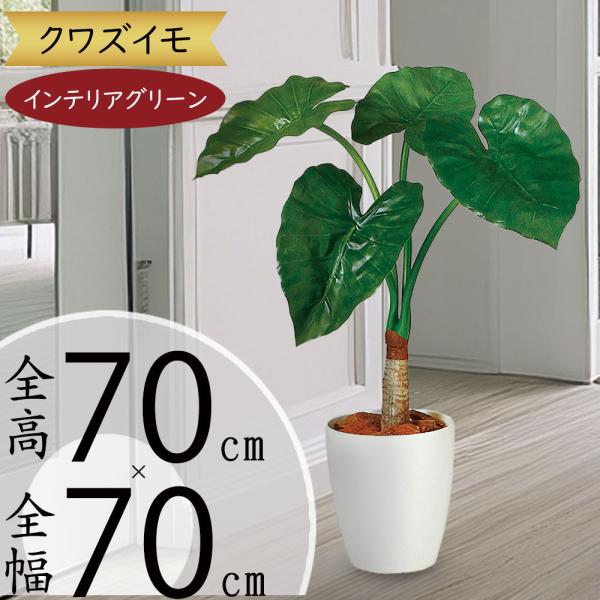 観葉植物 おしゃれ インテリアグリーン クワズイモ フェイク