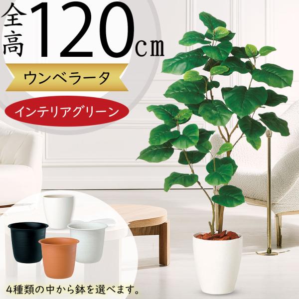 ウンベラータ おしゃれ 観葉植物 インテリアグリーン フェイクグリーン