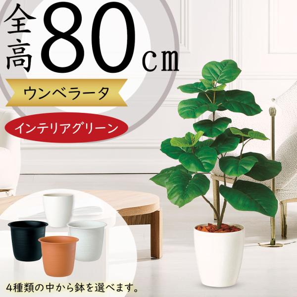 ウンベラータ おしゃれ 観葉植物 インテリアグリーン フェイクグリーン