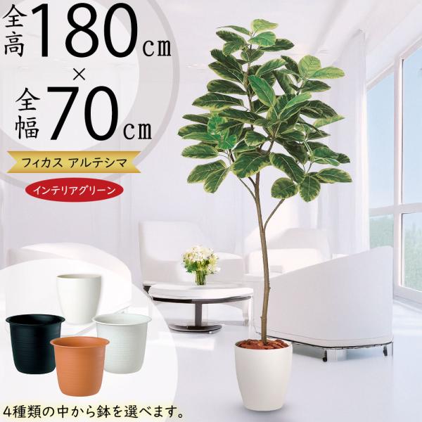 アルテシマ インテリアグリーン 大型 人気 おすすめ リアル フェイク 