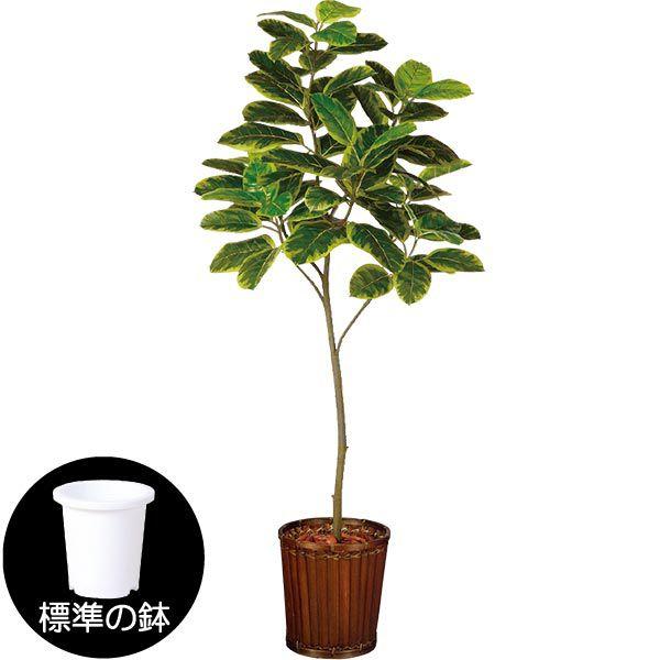アルテシマ 人工観葉植物 全高1 8m Fst フィカスアルテシマ 人工樹木 造花 インテリアグリーン フェイクグリーン 930tk 人工観葉植物と造花の通販ケイシン 通販 Yahoo ショッピング