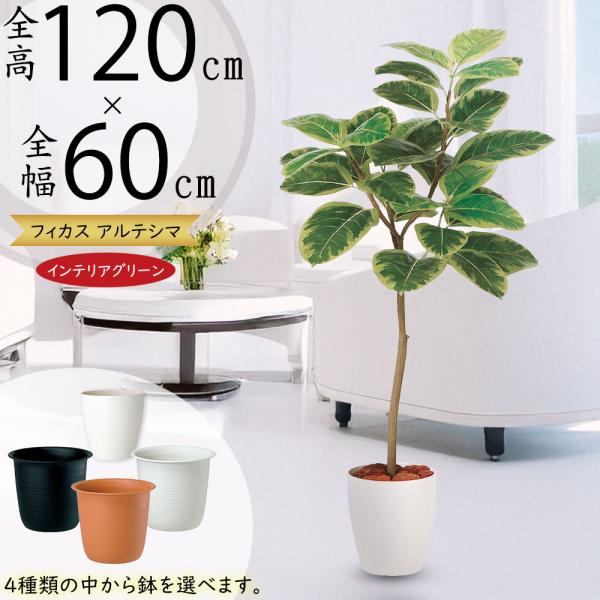 アルテシマ インテリアグリーン おしゃれ フェイクグリーン