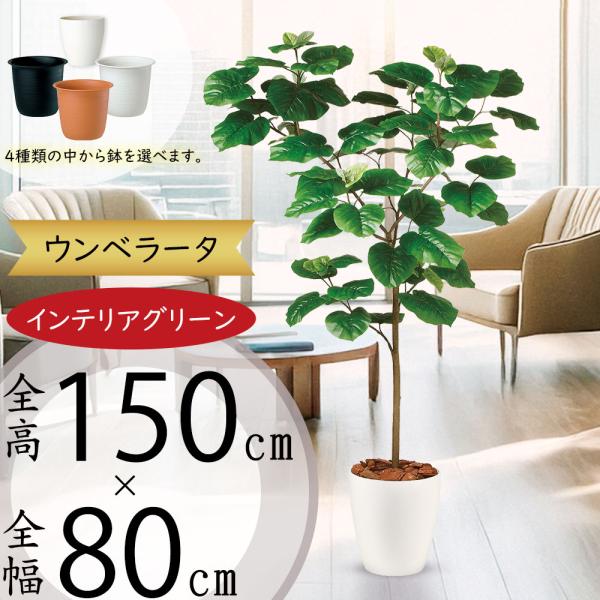 ウンベラータ 人工観葉植物 全高1 5m ホワイト鉢 人工樹木 造花 フェイクグリーン インテリアグリーン tk 人工観葉植物と造花の通販ケイシン 通販 Yahoo ショッピング