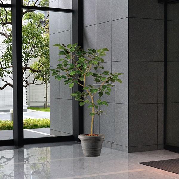ベンガル ボダイジュ 人工観葉植物 全高1 5m Fst 菩提樹 人工樹木 造花 インテリアグリーン フェイクグリーン Buyee 日本代购平台 产品购物网站大全 Buyee一站式代购 Bot Online
