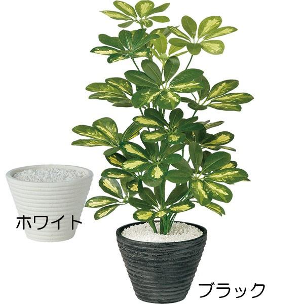 カポック シェフレラ 人工観葉植物 全高55cm 鉢付き 人工樹木 造花 小型グリーン 小鉢 フェイクグリーン インテリアグリーン Buyee Buyee 提供一站式最全面最專業現地yahoo Japan拍賣代bid代拍代購服務 Bot Online