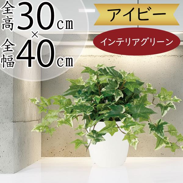 アイビー 人工観葉植物 全高30cm 鉢付き ヘデラ インテリアグリーン 人工樹木 造花 フェイクグリーン tk 人工観葉植物と造花の通販ケイシン 通販 Yahoo ショッピング