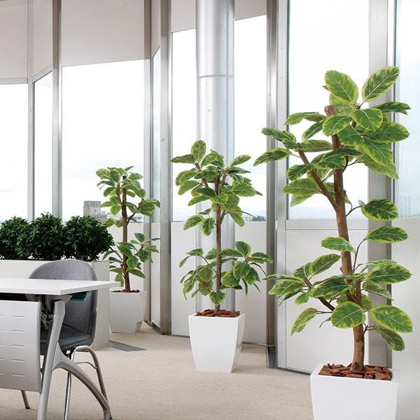 アルテシマ 人工観葉植物 全高1 5m フィカスアルテシマ 人工樹木 造花 インテリアグリーン フェイクグリーン Buyee 日本代购平台 产品购物网站大全 Buyee一站式代购 Bot Online