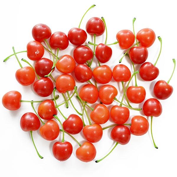 好評 さくらんぼ 全長7cm 72個セット フェイクフルーツ 食品サンプル サクランボ チェリー 装飾 ディスプレイ 3030 人工観葉植物と造花の通販ケイシン 通販 Yahoo ショッピング