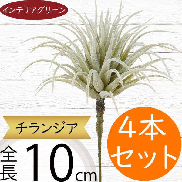 人工観葉植物 テイランドシア 全長10cm 5本セット エアープランツ ティランジア チランジア 造花 花材 リーフ フェイクグリーン 2276 人工観葉植物と造花の通販ケイシン 通販 Yahoo ショッピング