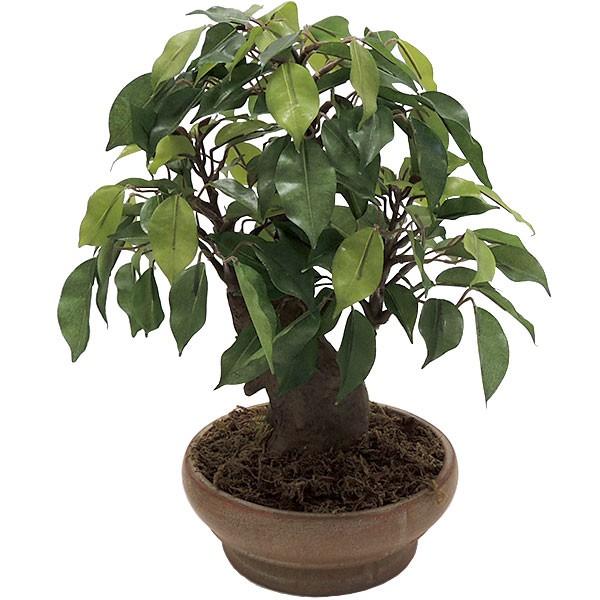 好評 フィカス 盆栽 全高40cm 造花 フェイクグリーン 人工 観葉植物 小鉢 樹木 植木 和風 装飾 ディスプレイ ベンジャミン Ab0031 人工観葉植物と造花の通販ケイシン 通販 Yahoo ショッピング