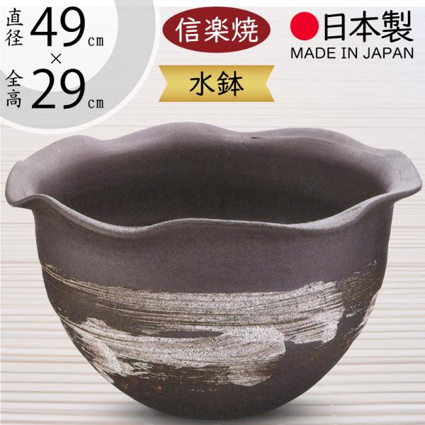 金魚壺　有名な信楽焼プラント 金魚壺 有名な信楽焼プラント 観葉植物